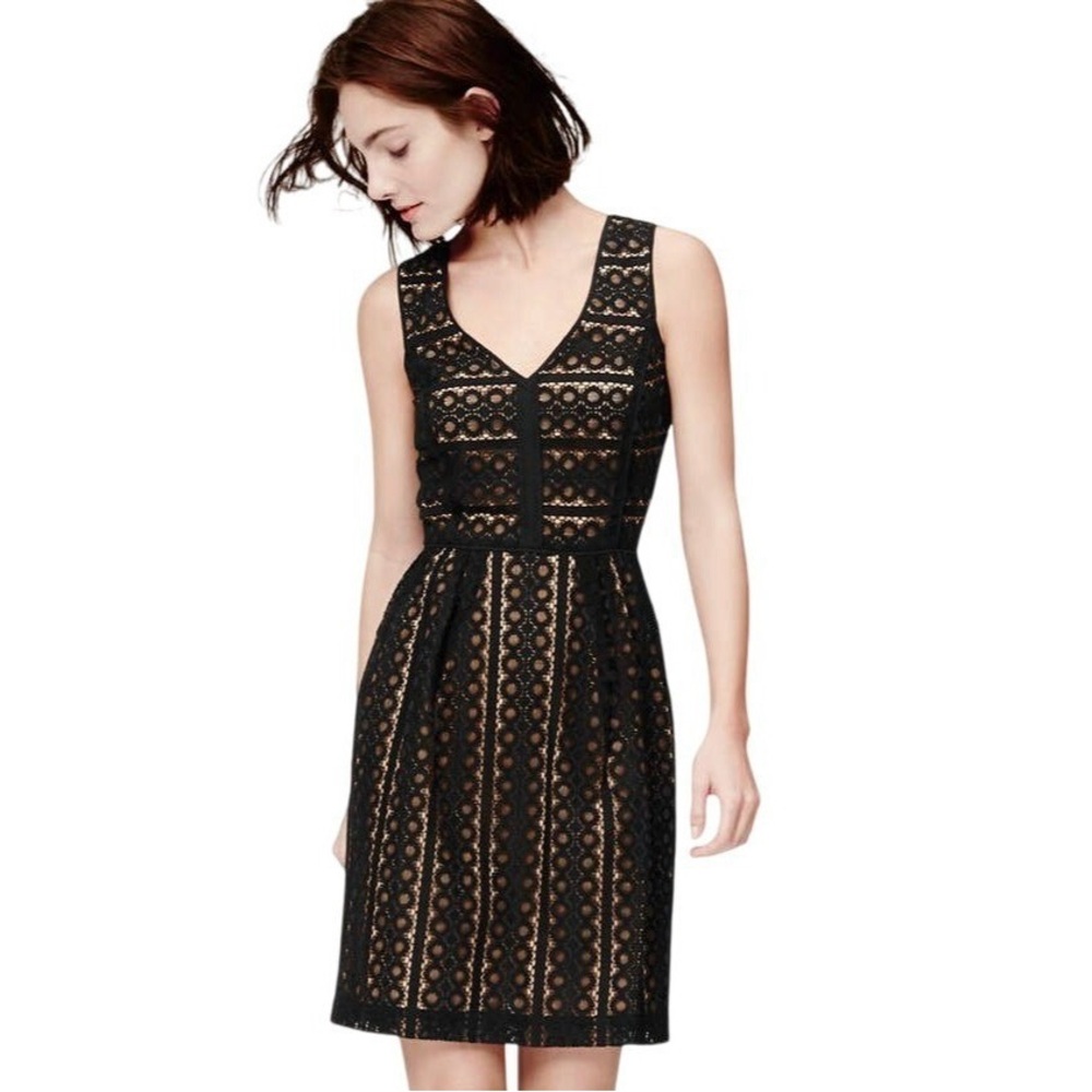 LOFT Geometric Striped Eyelet‎ Lace Dress Ann Taylor LOFT Sz 8 EUC Black Holiday